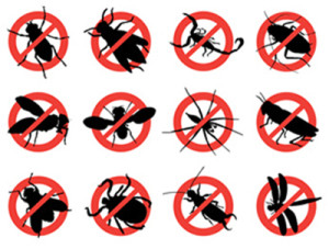 rodent and pest with warning signs