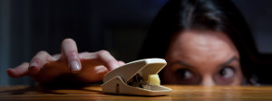 victor_mousetrap_banner_1